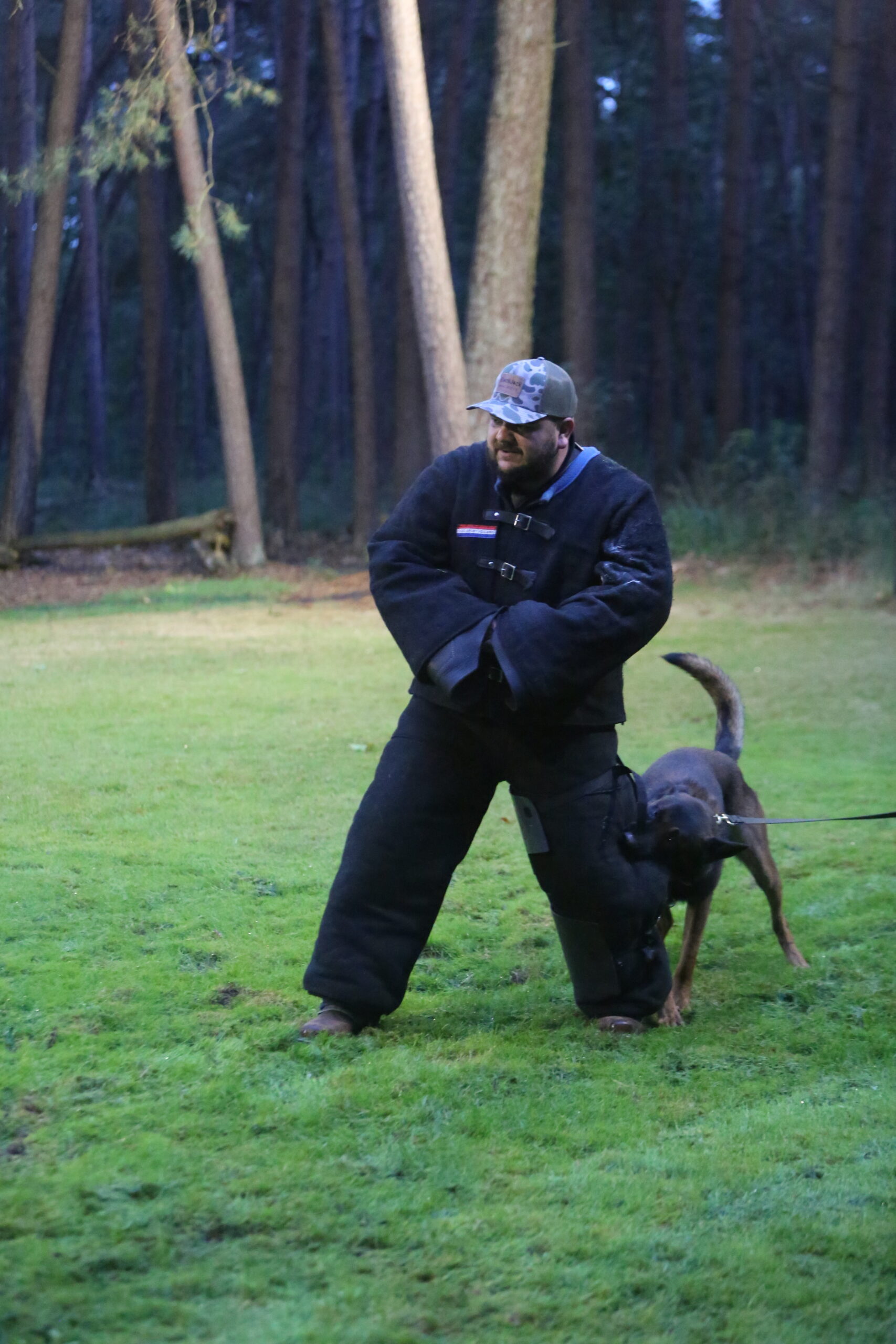 Dog: Sjores